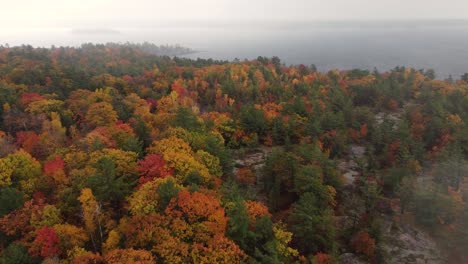 Hermoso-Vuelo-De-Drones-Sobre-Una-Zona-Costera-Boscosa-En-Colores-Otoñales