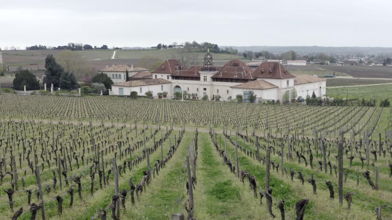 icónico castillo ángelus con vista panorámica del viñedo, saint emilion, gironda en francia.