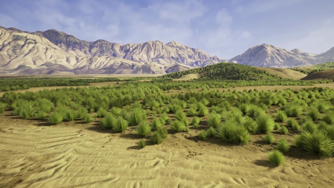 低木や植生が群生する風景、および土壌分析レポート。