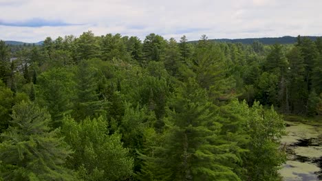 drone shot through the trees revealing the islands and mountains of the adirondack forest preserve