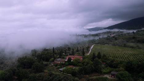 Die-Drohne-Schwenkt-Langsam-Durch-Die-Wunderschöne-Landschaft-Mit-Bäumen-Und-Ein-Paar-Häusern,-Wolken-Liegen-über-Der-Landschaft,-Filmische-Atmosphäre