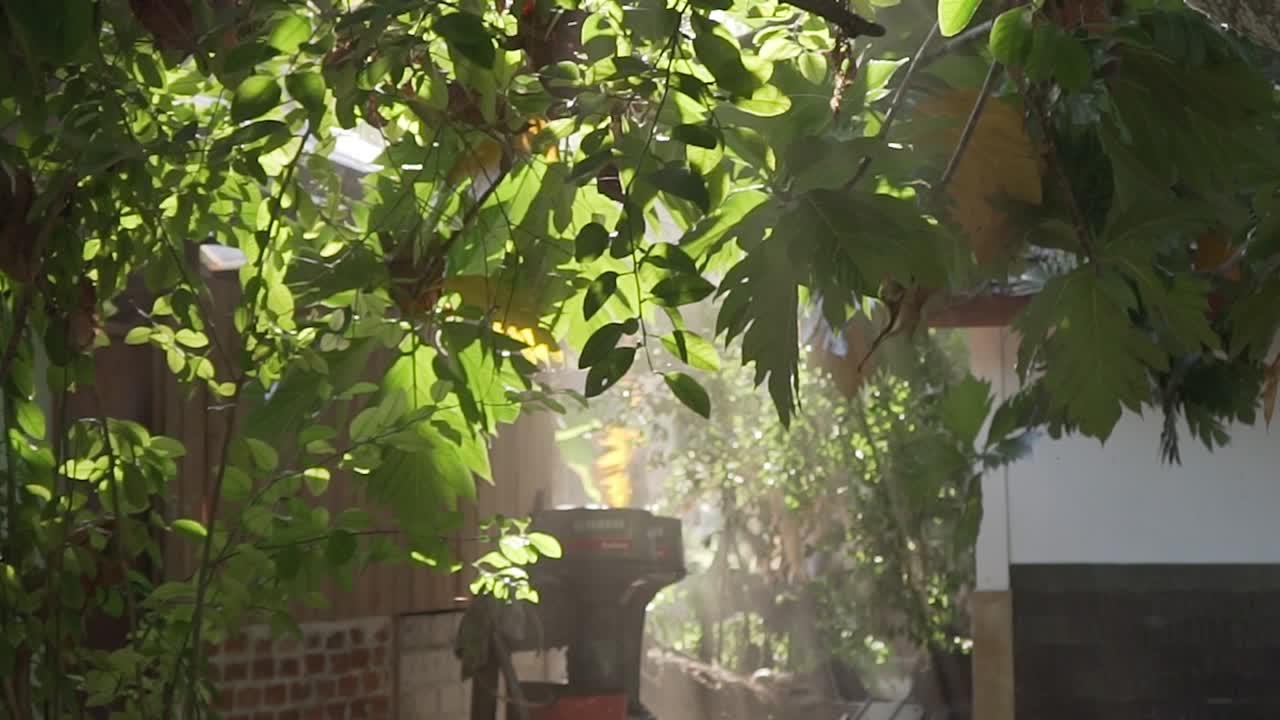 dusty rays of sun is leaking down through tree branches in the morning