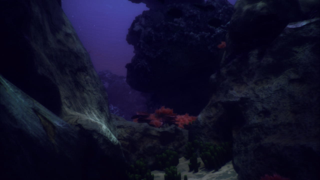 Underwater exploration reveals colorful coral and rock formations in the ocean