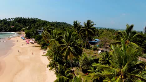 Volando-Alto-Por-Encima-De-Las-Palmeras-Cerca-De-La-Zona-Residencial-En-La-Playa-De-Arena-Dorada,-Sri-Lanka