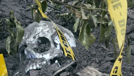 excavated human skull at grim crime scene with broken police tape