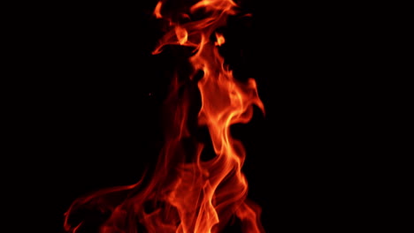 red flame moving in the darkness. top part of a bonfire isolated at black backdrop. close up.