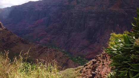 Gimbal-panning-shot-looking-down-the-top-of-a-waterfall-running-into-colorful-Waimea-Canyon-on-the-island-of-Kaua'i-in-Hawai'i