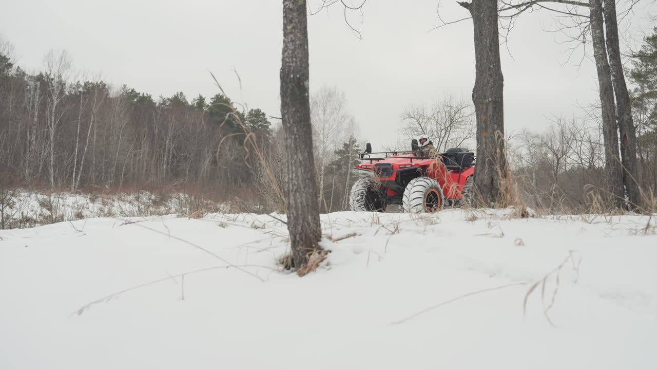 ATV rosso in una foresta innevata che sfreccia attraverso neve fresca e tracce di pneumatici, pini che incorniciano un cielo coperto, terreno accidentato, brina fredda sui rami, un'avventura invernale isolata piena di velocità e adrenalina.