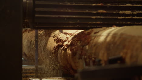 close-up of a log being cut in a sawmill
