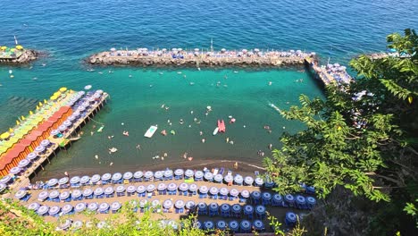 aerial view of beach and umbrellas