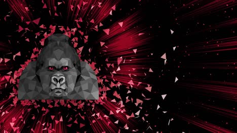 polygonal gorilla background. animal head. low polygon loop animation. geometric wildlife. polygonal animal portrait.