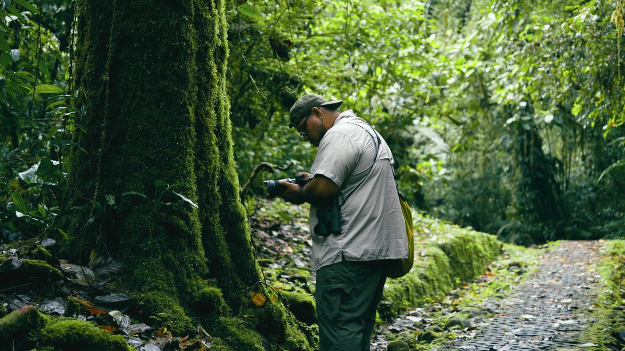 Fotografo che scatta foto a un albero muschioso in una foresta pluviale tropicale