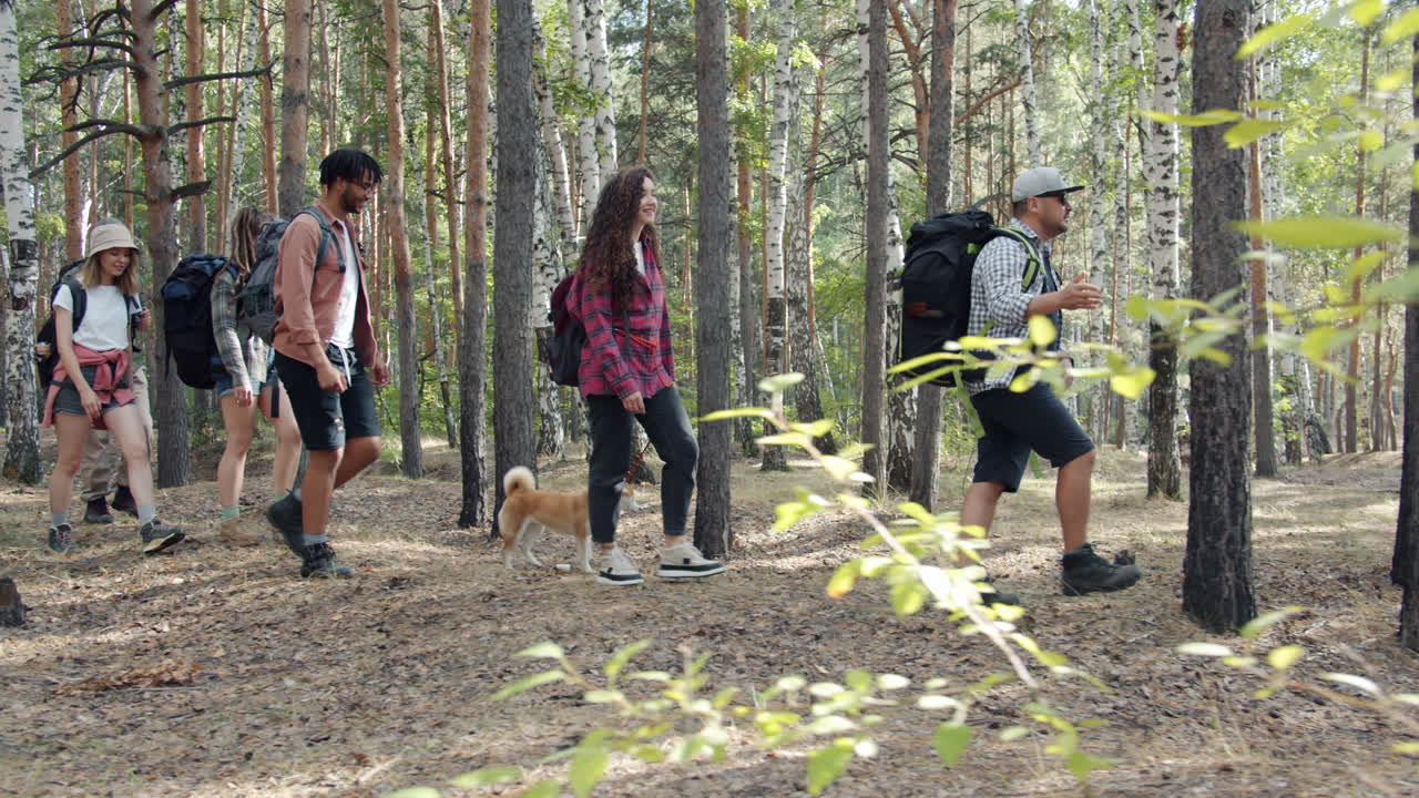 숲에서 그룹 하이킹