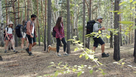 senderismo en grupo en el bosque