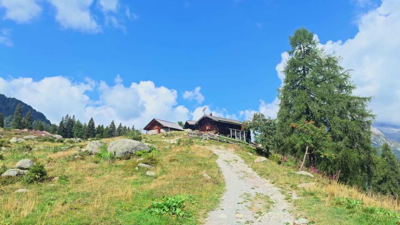 Betagende sommerudsigt over en vandresti, der fører til en bjerghytte i Trentino, Italien. Alpint landskab med grønne enge og blå himmel