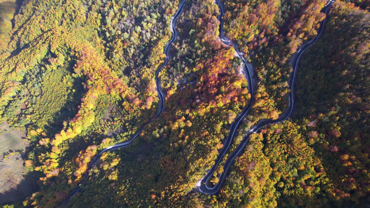 Winding road on mountain landscape with hills and colorful forest trees in Autumn