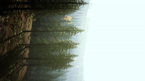 vertical view of foggy mountains