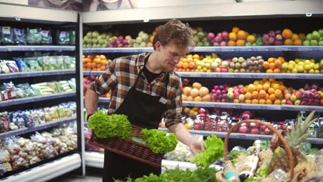 salad bar with organic vegetables and greens in supermarket. male shop employee arranging fresh greens on a bar in local supermarket. slow motion