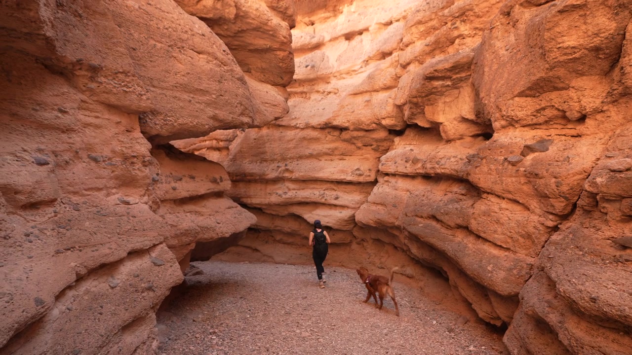 Mujer y perro en un cañón de ranura estrecho, hito natural del Área Recreativa del Lago Mead, Nevada, EE. UU.