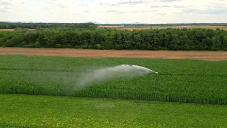 Sprinkler-Irrigating-A-Corn-Field-In-Marchfeld,-Austria---Aerial-Shot