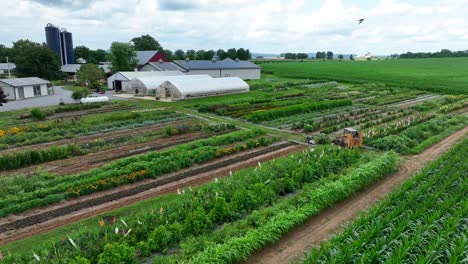 amish farm with large garden