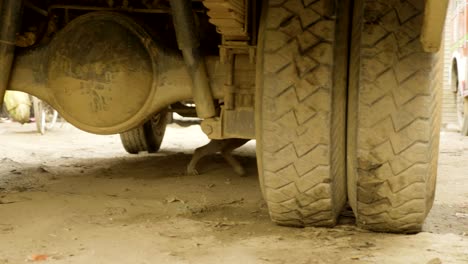 un perro sin hogar se esconde debajo del autobús en nepfl.