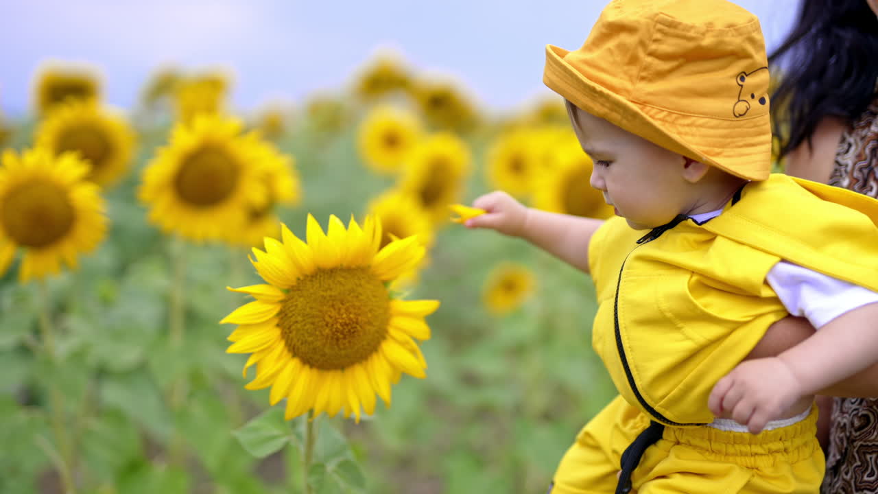 Mommy's holding her kid wearing yellow panama and in hands. Cute baby boy touching gently the petals of sunflower. Blurred backdrop.