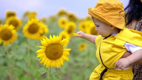 mommy's holding her kid wearing yellow panama and in hands. cute baby boy touching gently the petals of sunflower. blurred backdrop.