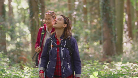 two young female friends on camping holiday hiking through woods and enjoying nature together