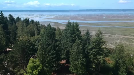 aerial roll drop over cottage country warm beach in the town of stanwood washington state foreground tall pine tree background six and half miles of sand and ocean front camps hotels homes farms 2-2