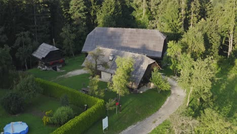 aerial view of a wooden cottage in the green forest in the rural countryside