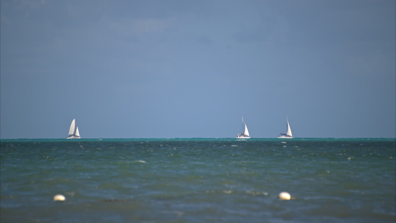 화창한 여름날 캐리비안 바다에서 수평선을 항해하는 세 척의 배