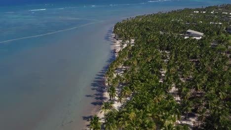 costa tropical de palm beach con mar azul en punta cana, disparo de drones