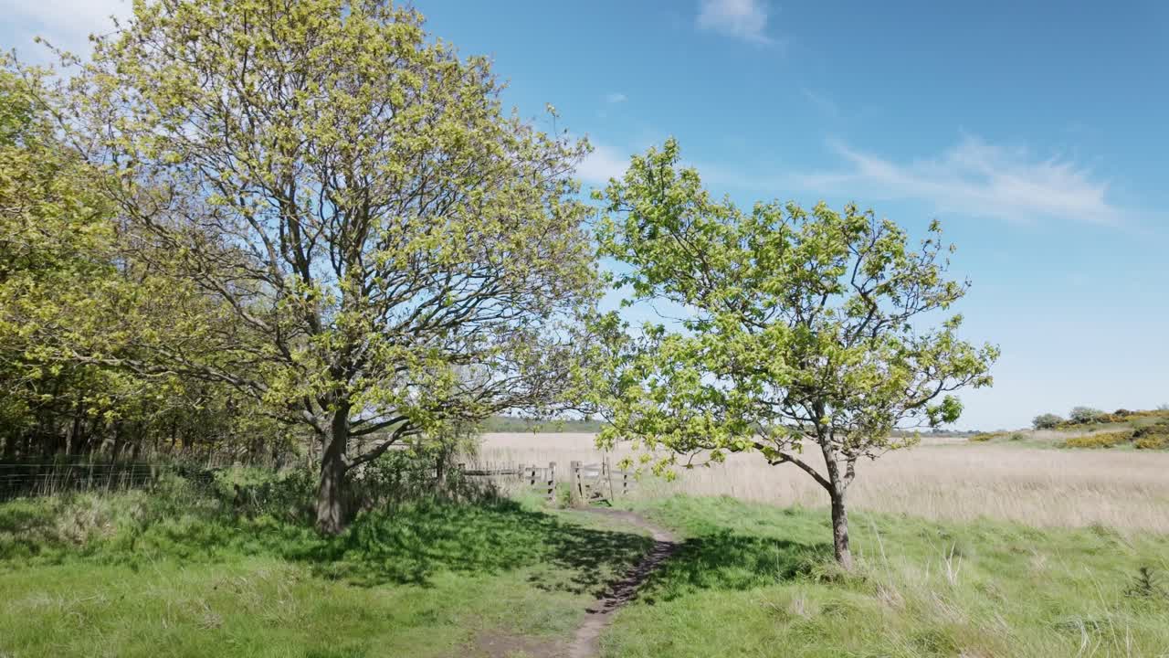Trail path leads to gate edge of woodland in rural Suffolk countryside