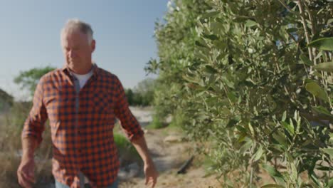 mature man working on farm