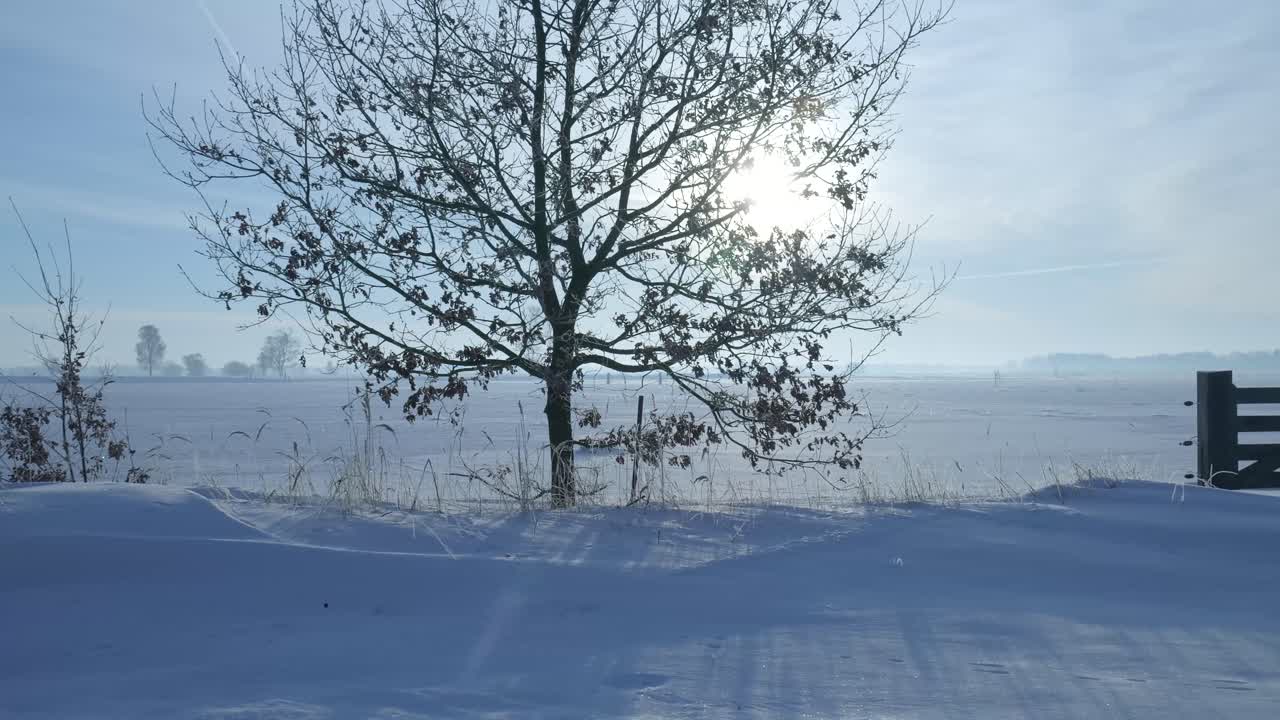 Vinterlandskap med snø og port