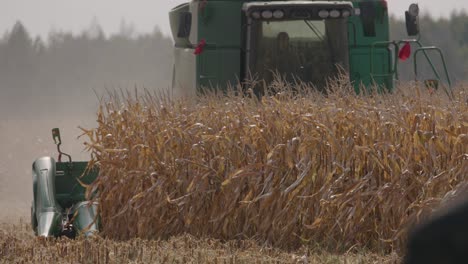 Combine-harvester-harvesting-massive-corn-field-under-beautiful-sunlight