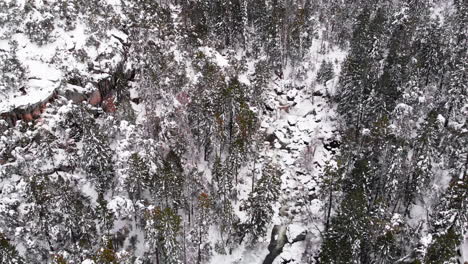 Sobrevuelo-Aéreo,-Imágenes-De-Arriba-Hacia-Abajo-Del-Desfiladero-Del-Río-Congelado-Cubierto-De-Nieve-En-El-Desierto-Montañoso-Boscoso