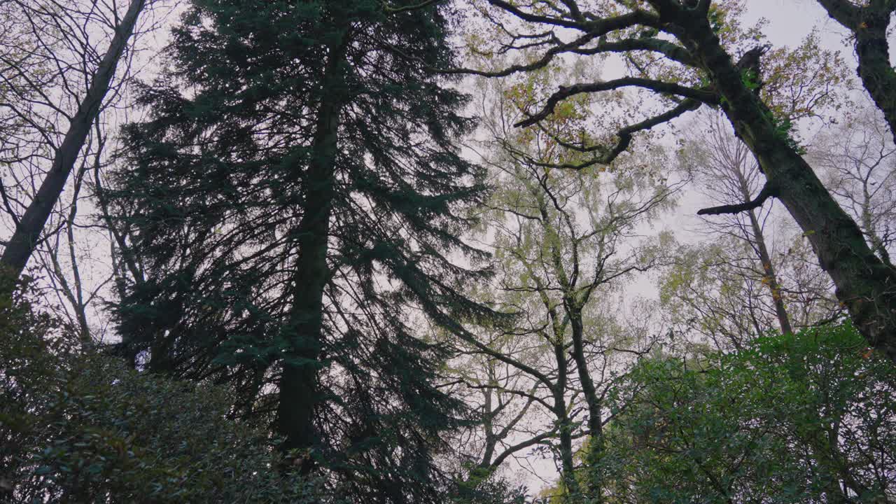 슬로우 모션 틸트 업