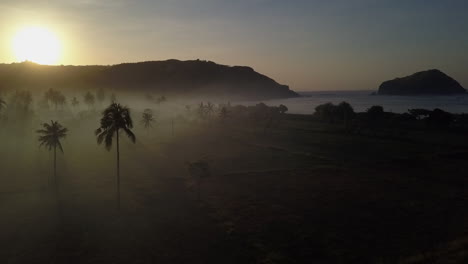 Dramático-Amanecer-Niebla-Sombras-Silueta-Palmeras-En