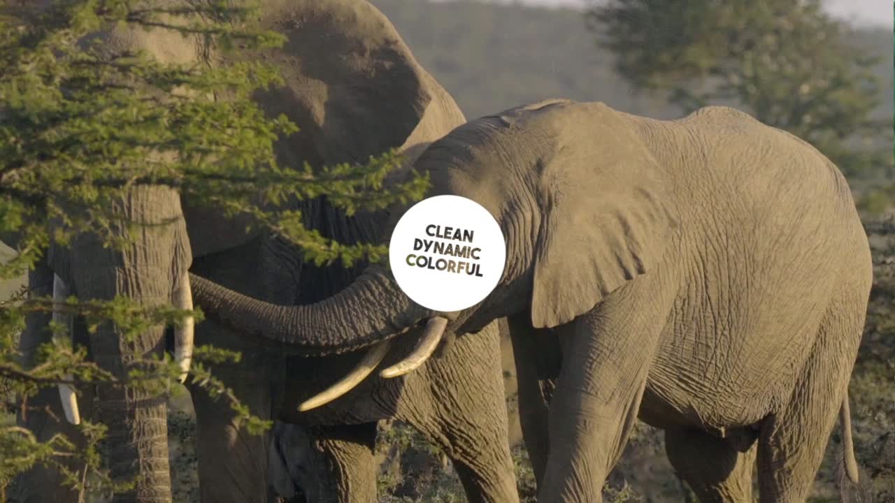 Sunrise Surfing and Urban Cityscape Animation