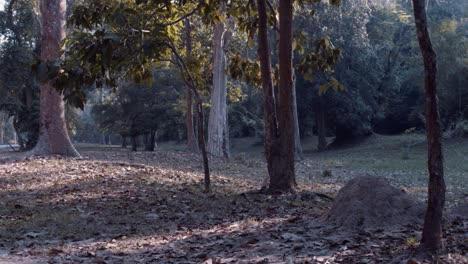 Pan-Across-the-Grounds-of-Angkor-Wat-in-the-Day-Time