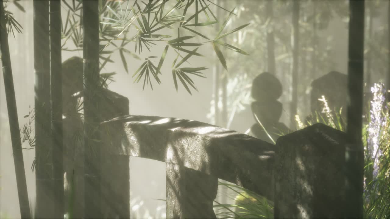 일본 대나무 숲 과 녹색 초원 잔디 와 자연 빛