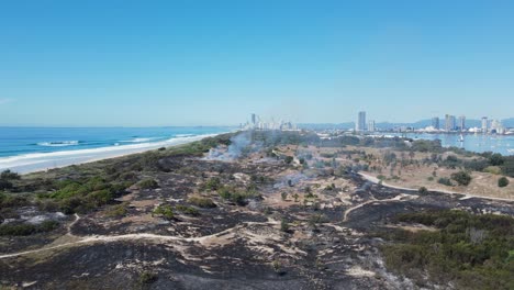 fire destroys a section of critically endangered littoral rainforest and coastal vegetation close to a city skyline