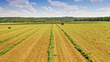 beautiful natural environment on the field in summer. drone view over the field with a tractor working on a grassland during sunny day.