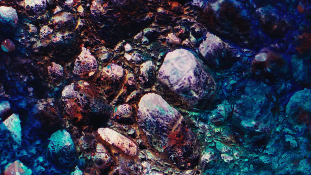 Abstract Textured Rock Surface