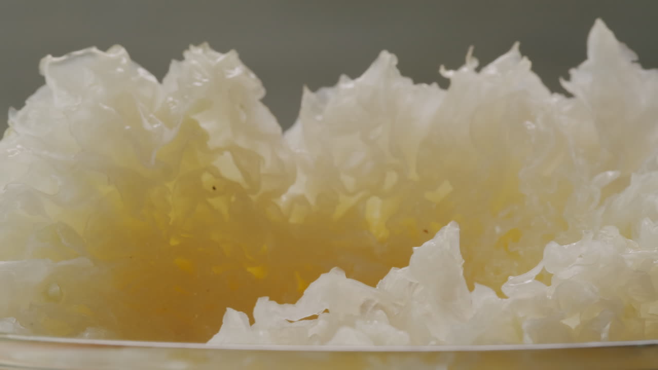 Tremella fermented salted Jamur salju or snow fungus, white colored fungi for food and medicine, popular in China and also Chinese cuisine.