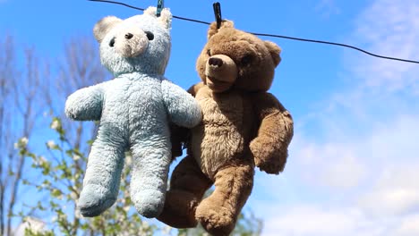 faithful friends bears after washing place for advertising text