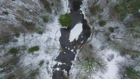 aerial establishing view of nordic woodland forest covered with light snow and a dark river , overcast winter day, low clouds, relaxing view, ascending birdseye drone shot