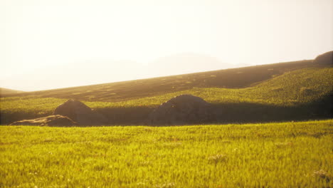 sunrise/sunset over a grassy field and hills